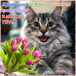 Доброе утро GIF картинка